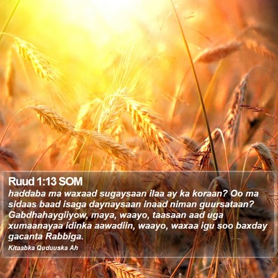 Ruud 1:13 SOM Bible Verse Image