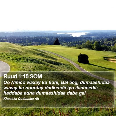 Ruud 1:15 SOM Bible Verse Image