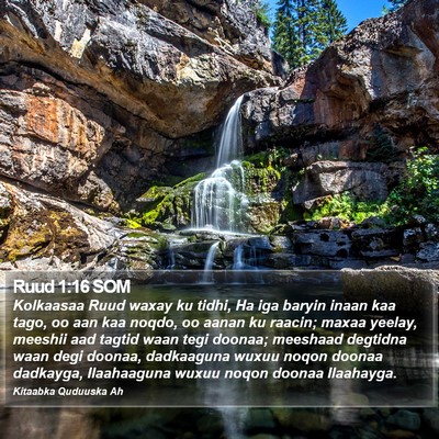 Ruud 1:16 SOM Bible Verse Image
