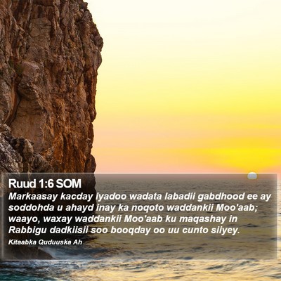 Ruud 1:6 SOM Bible Verse Image