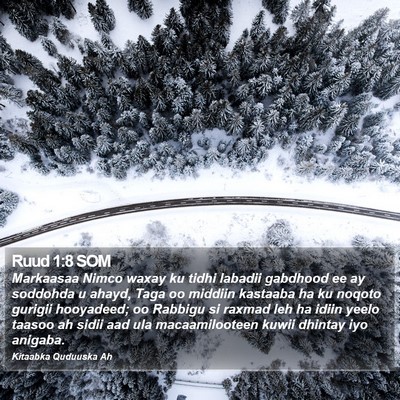 Ruud 1:8 SOM Bible Verse Image