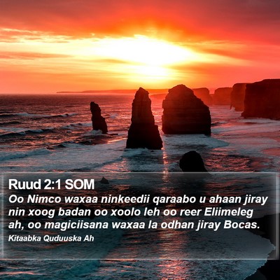 Ruud 2:1 SOM Bible Verse Image