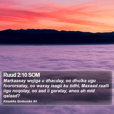Ruud 2:10 SOM Bible Verse Image