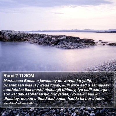Ruud 2:11 SOM Bible Verse Image