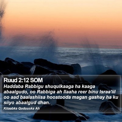 Ruud 2:12 SOM Bible Verse Image