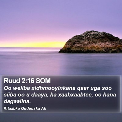 Ruud 2:16 SOM Bible Verse Image