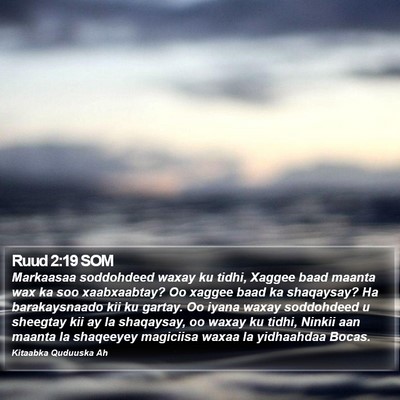 Ruud 2:19 SOM Bible Verse Image
