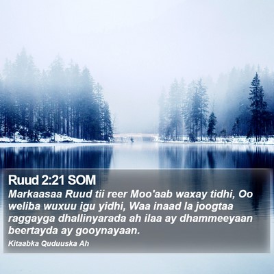 Ruud 2:21 SOM Bible Verse Image