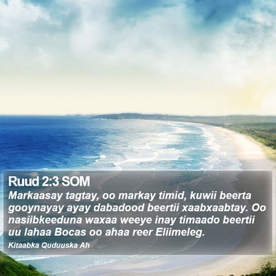 Ruud 2:3 SOM Bible Verse Image