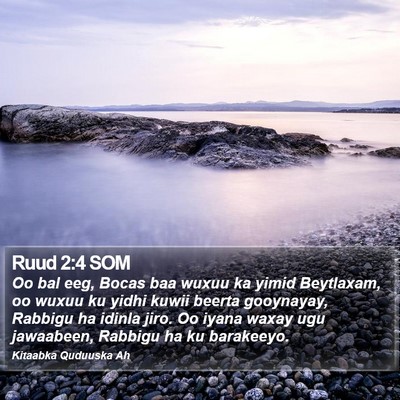 Ruud 2:4 SOM Bible Verse Image