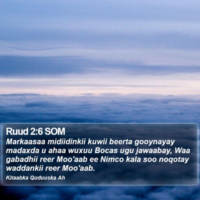 Ruud 2:6 SOM Bible Verse Image