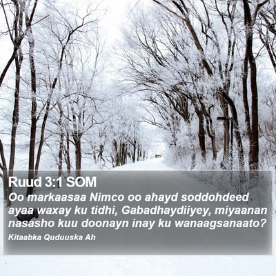 Ruud 3:1 SOM Bible Verse Image