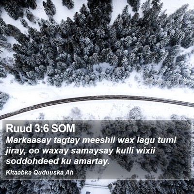 Ruud 3:6 SOM Bible Verse Image