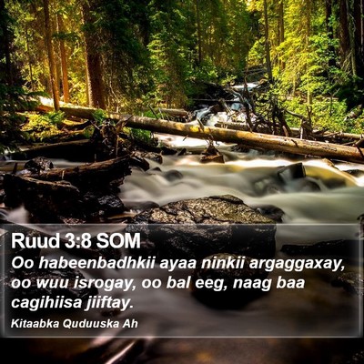 Ruud 3:8 SOM Bible Verse Image