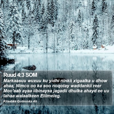 Ruud 4:3 SOM Bible Verse Image