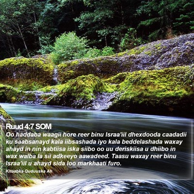 Ruud 4:7 SOM Bible Verse Image