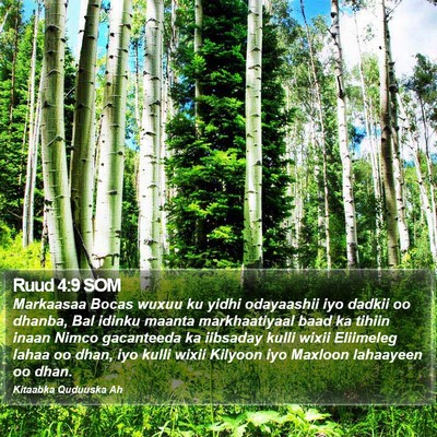 Ruud 4:9 SOM Bible Verse Image