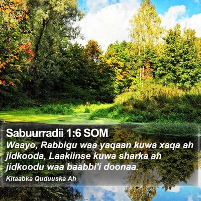 Sabuurradii 1:6 SOM Bible Verse Image