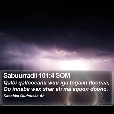 Sabuurradii 101:4 SOM Bible Verse Image