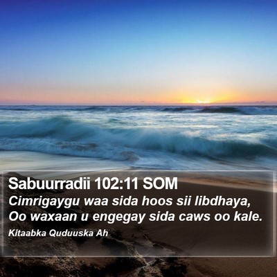 Sabuurradii 102:11 SOM Bible Verse Image