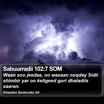 Sabuurradii 102:7 SOM Bible Verse Image