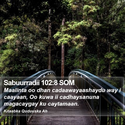 Sabuurradii 102:8 SOM Bible Verse Image
