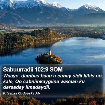 Sabuurradii 102:9 SOM Bible Verse Image