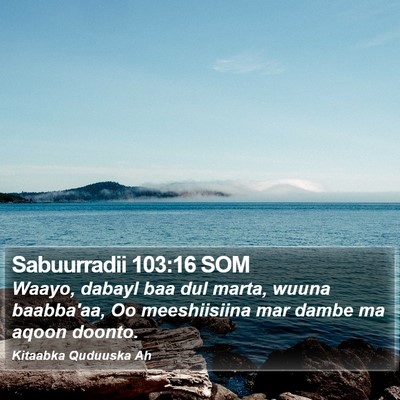 Sabuurradii 103:16 SOM Bible Verse Image
