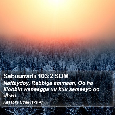 Sabuurradii 103:2 SOM Bible Verse Image