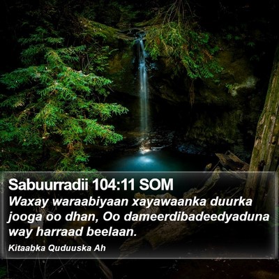 Sabuurradii 104:11 SOM Bible Verse Image