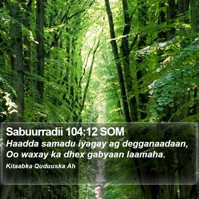 Sabuurradii 104:12 SOM Bible Verse Image