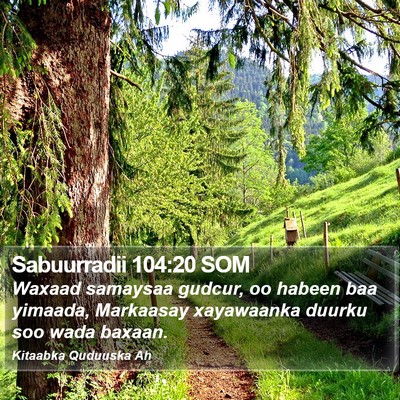 Sabuurradii 104:20 SOM Bible Verse Image