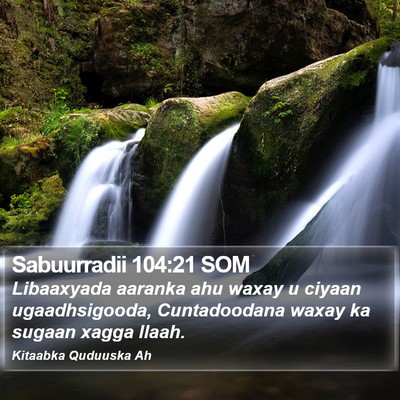 Sabuurradii 104:21 SOM Bible Verse Image