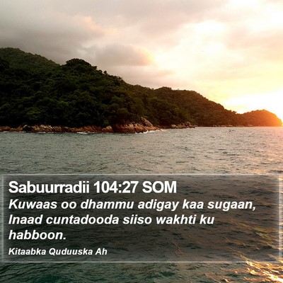 Sabuurradii 104:27 SOM Bible Verse Image