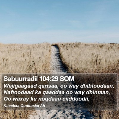 Sabuurradii 104:29 SOM Bible Verse Image
