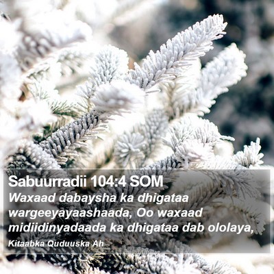 Sabuurradii 104:4 SOM Bible Verse Image