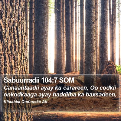 Sabuurradii 104:7 SOM Bible Verse Image