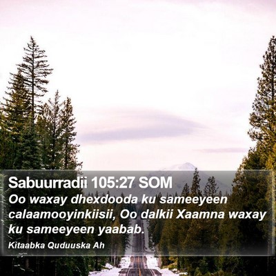 Sabuurradii 105:27 SOM Bible Verse Image