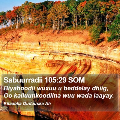 Sabuurradii 105:29 SOM Bible Verse Image