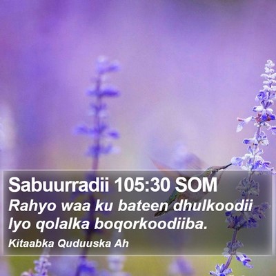 Sabuurradii 105:30 SOM Bible Verse Image