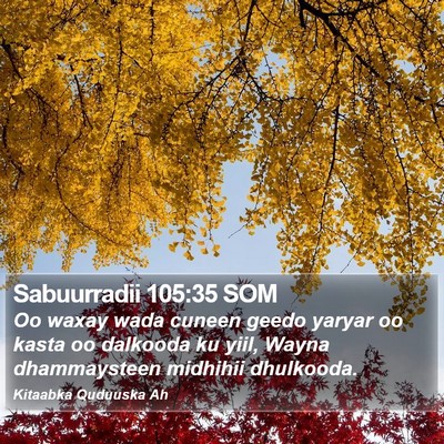 Sabuurradii 105:35 SOM Bible Verse Image