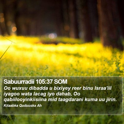 Sabuurradii 105:37 SOM Bible Verse Image