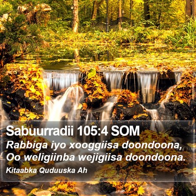 Sabuurradii 105:4 SOM Bible Verse Image