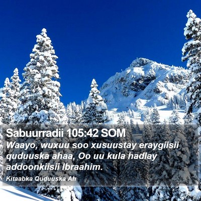 Sabuurradii 105:42 SOM Bible Verse Image