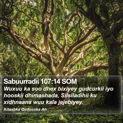 Sabuurradii 107:14 SOM Bible Verse Image