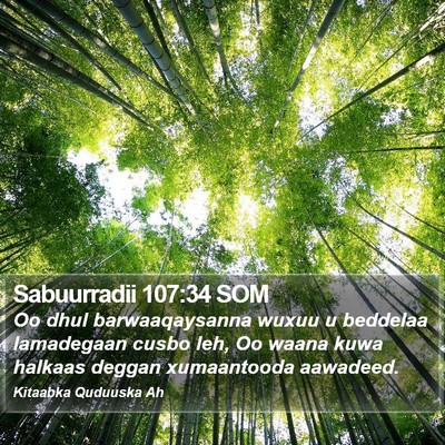 Sabuurradii 107:34 SOM Bible Verse Image