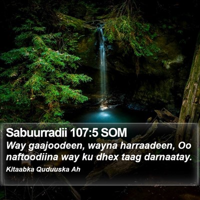 Sabuurradii 107:5 SOM Bible Verse Image