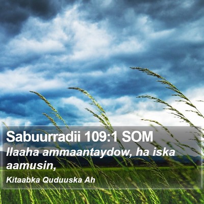Sabuurradii 109:1 SOM Bible Verse Image