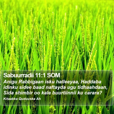 Sabuurradii 11:1 SOM Bible Verse Image