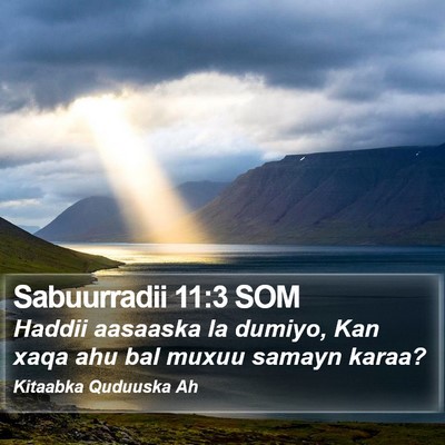 Sabuurradii 11:3 SOM Bible Verse Image